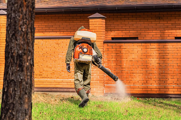 Trusted Emergency Pest Control service in Seymour, TN - Nex Pest Control